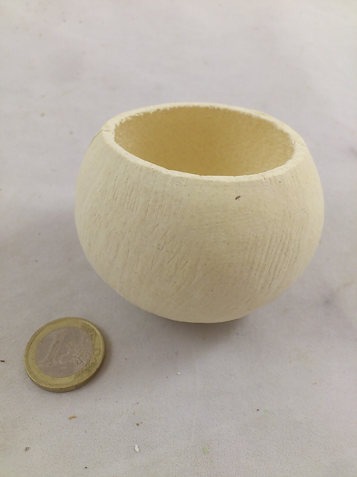 Bell Cup blanchi Ø5-7cm 20 p.